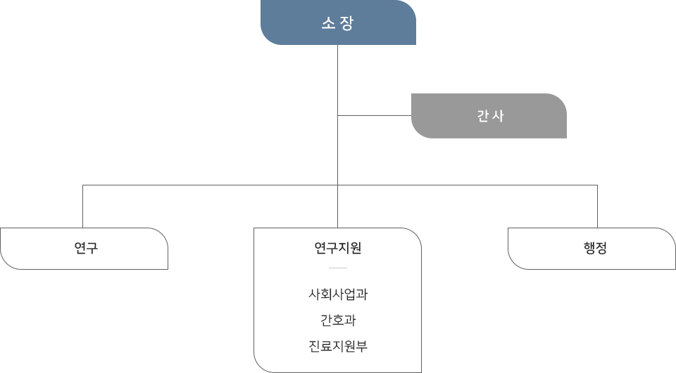 소장, 간사, 연구, 연구지원(사회사업과,간호과,진료지원부), 행정