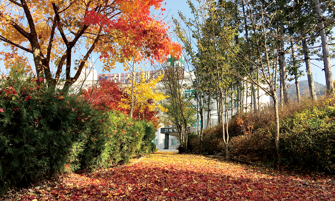 신세계병원의 가을